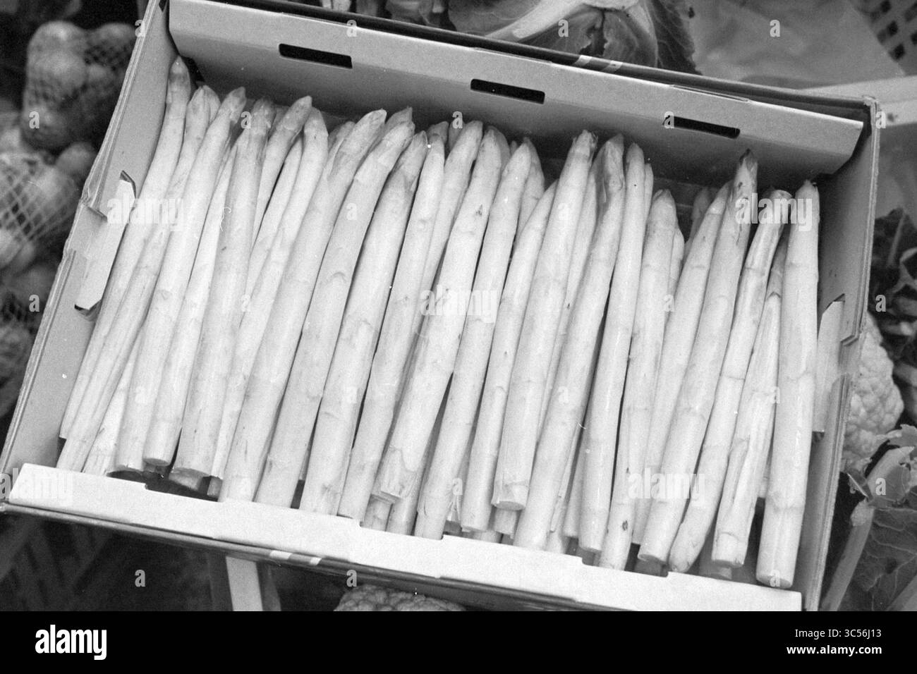 Box mit Spargel, 27-04-1993 Whizgle News, Dutch Desk, Niederlande, 1950-2000 Eine ordentlich angeordnete Box gefüllt mit frischen Spargelstangen, die ihre glatten, gestreckten Formen und ihre helle Färbung zeigen. Stockfoto