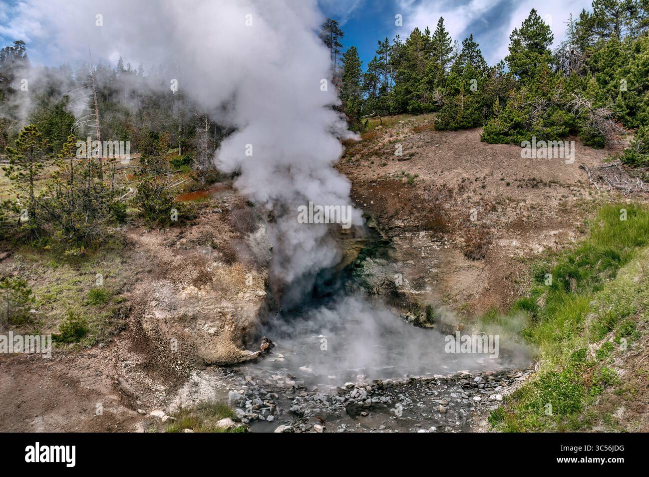 Dragon’s Mouth Hot Spring ist eine turbulente Thermalquelle im Mud Volcano Gebiet des Yellowstone National Park, Wyoming. Stockfoto