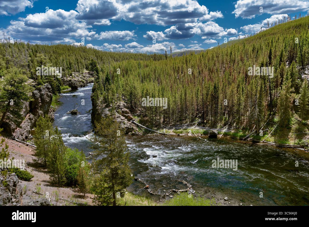Der Firehole River, Yellowstone National Park, WY Stockfoto