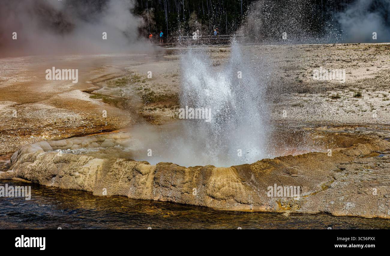 Geothermische Quellen, Black Sand Basin, Yellowstone National Park Stockfoto