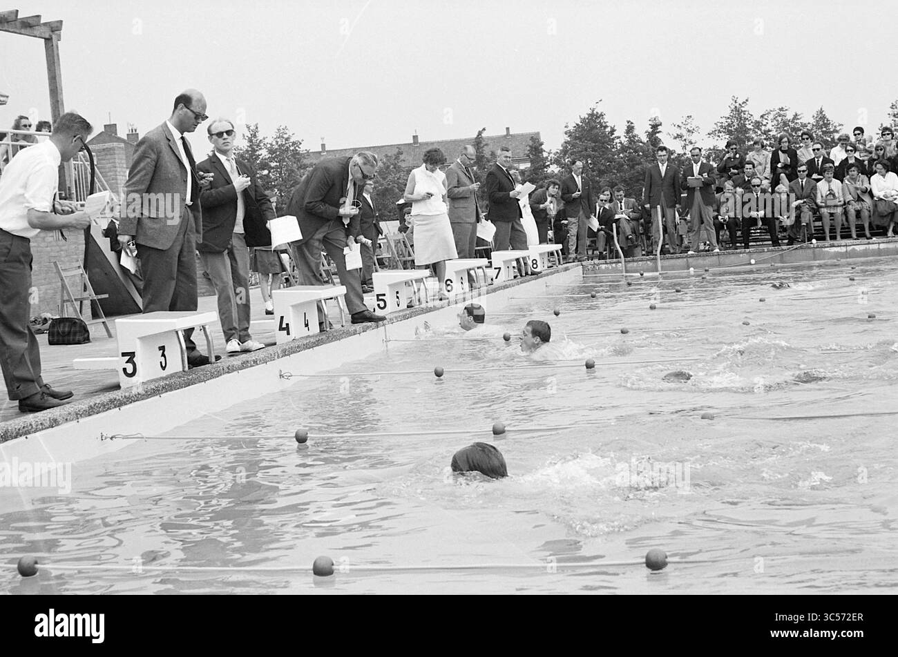 Outdoor-Schwimmwettbewerb Whizgle News, Dutch Desk, Niederlande, 1950-2000 Teilnehmer laufen bei einem Schwimmwettbewerb an, während Richter und Zuschauer von der Seite des Schwimmbades aus beobachten und die Spannung des Wettbewerbs einfangen. Stockfoto