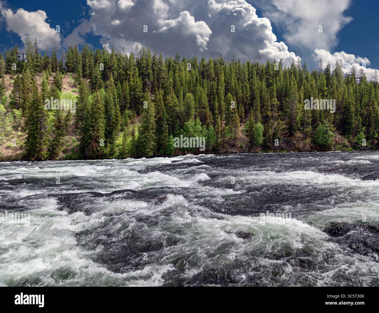 Der Yellowstone River, Yellowstone NP Stockfoto