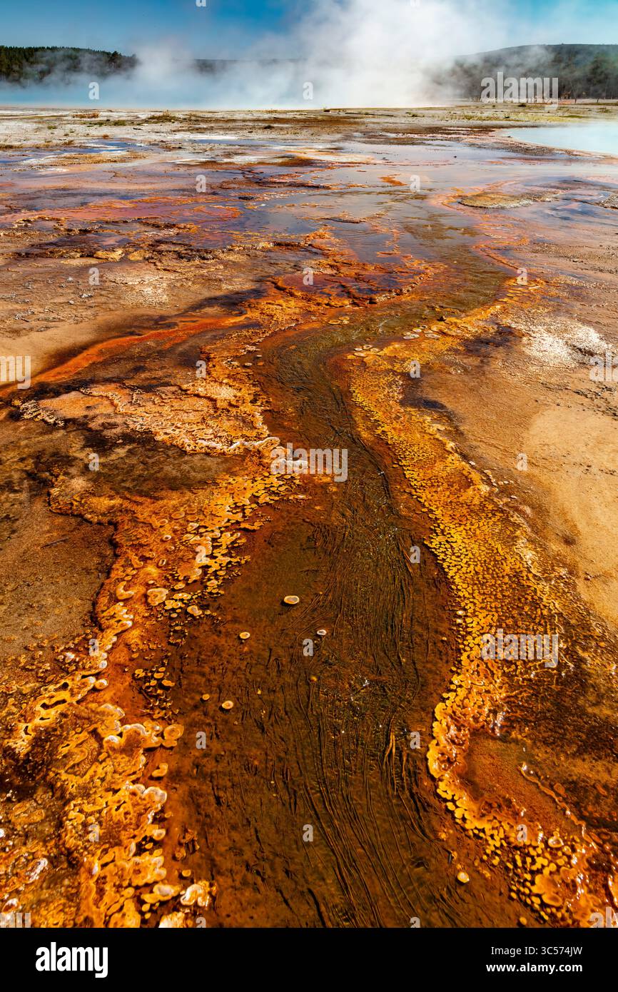 Bunte mikrobielle Matten in heißen Quellen werden von wärmeliebenden Algen und Bakterien, vor allem thermophilen Cyanobakterien, gebildet. Stockfoto