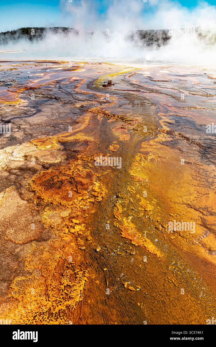 Bunte mikrobielle Matten in heißen Quellen werden von wärmeliebenden Algen und Bakterien, vor allem thermophilen Cyanobakterien, gebildet. Stockfoto