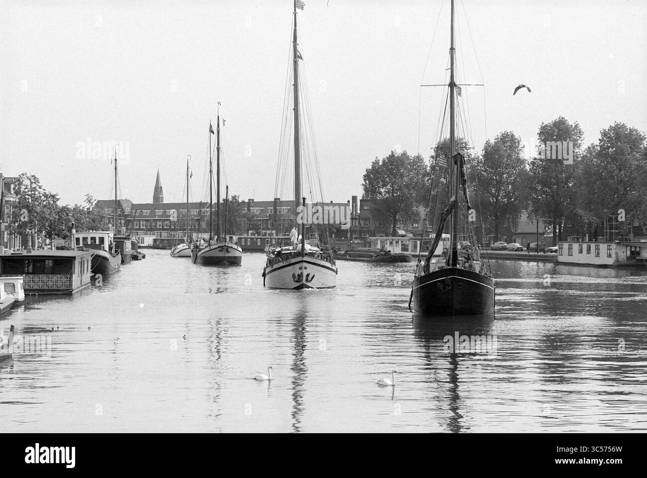 Neun Segelschiffe aus der Zeit um 1900 fahren in Haarlem an und fahren durch die Spaarne, Haarlem, Niederlande, 29-05-1990 Whizgle News, Dutch Desk, Niederlande, 1950-2000 Eine ruhige Szene von Booten, die durch einen ruhigen Wasserweg gleiten, flankiert von Bäumen und Gebäuden im Hintergrund, mit einem Hauch von entfernten Türmen, die sich über der Landschaft erheben. Die Ruhe wird durch die Anwesenheit von Schwänen unterbrochen, die anmutig im Vordergrund schwimmen. Stockfoto