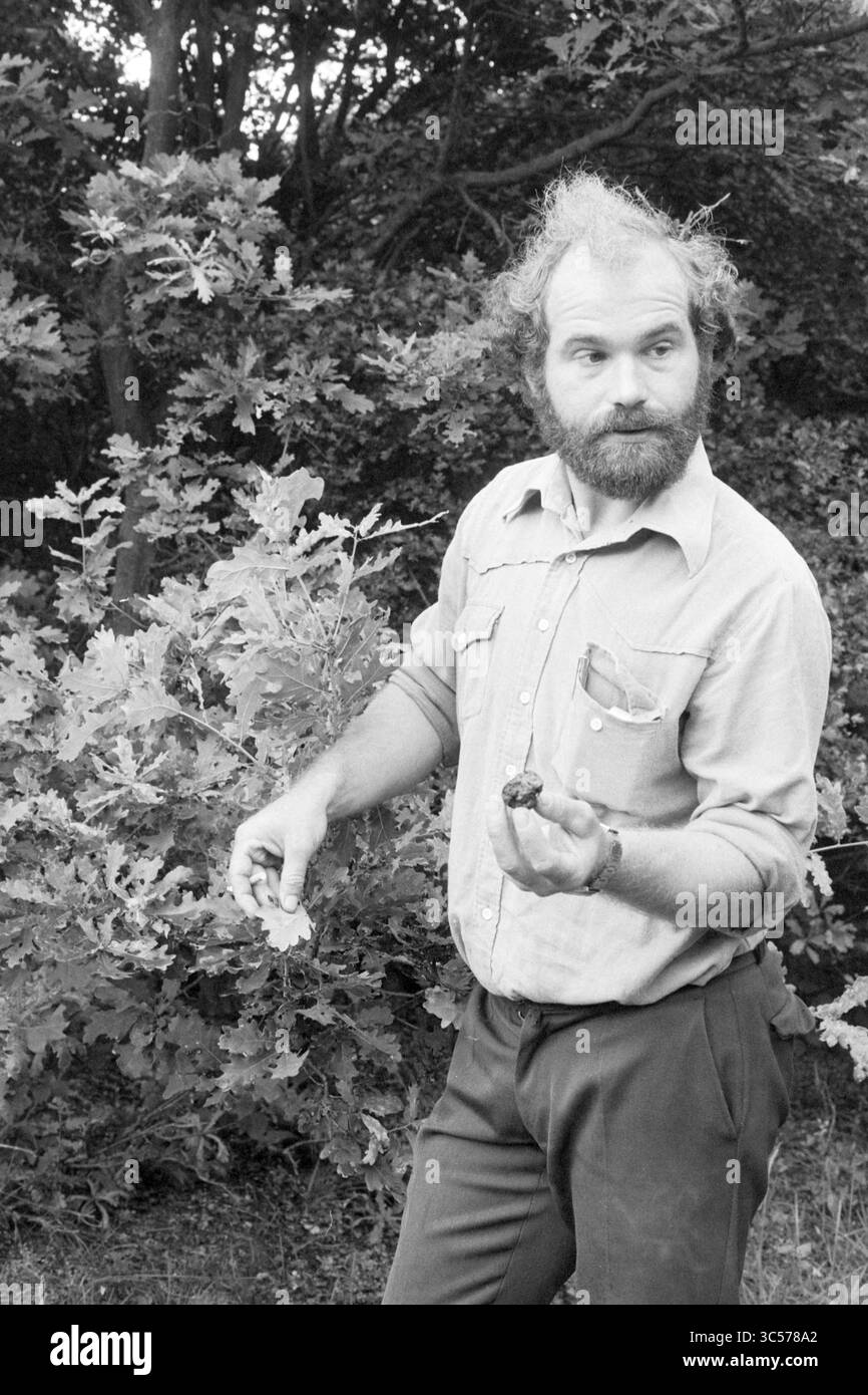 Porträt eines Mannes mit Eiche und Pilz aus dem Dünengebiet Whizgle News, Dutch Desk, Niederlande, 1950-2000 Ein Mann steht inmitten üppiger Blätter, hält ein Objekt in der einen Hand, während er mit der anderen Gesten bewegt. Sein nachdenklicher Ausdruck deutet darauf hin, dass er Einblicke in die Natur oder seine Umgebung teilt. Stockfoto
