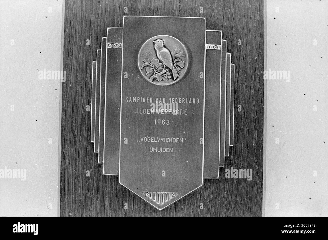Plaque Taubengehege, Plaque, Preise, 11-02-1964 Whizgle News, Dutch Desk, Niederlande, 1950-2000 Eine Gedenktafel mit einer detaillierten Gravur eines Vogels, die mit einem Text versehen ist, der Mitglieder eines niederländischen Vereins aus dem Jahr 1963 ehrt. Das Design umfasst verzierte Borten und eine polierte Oberfläche, die ein Gefühl von Prestige und Leistung widerspiegelt. Stockfoto