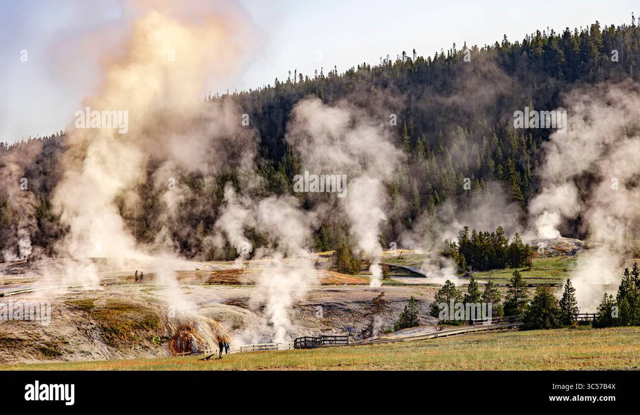 Das Upper Geyser Basin im Yellowstone-Nationalpark Stockfoto