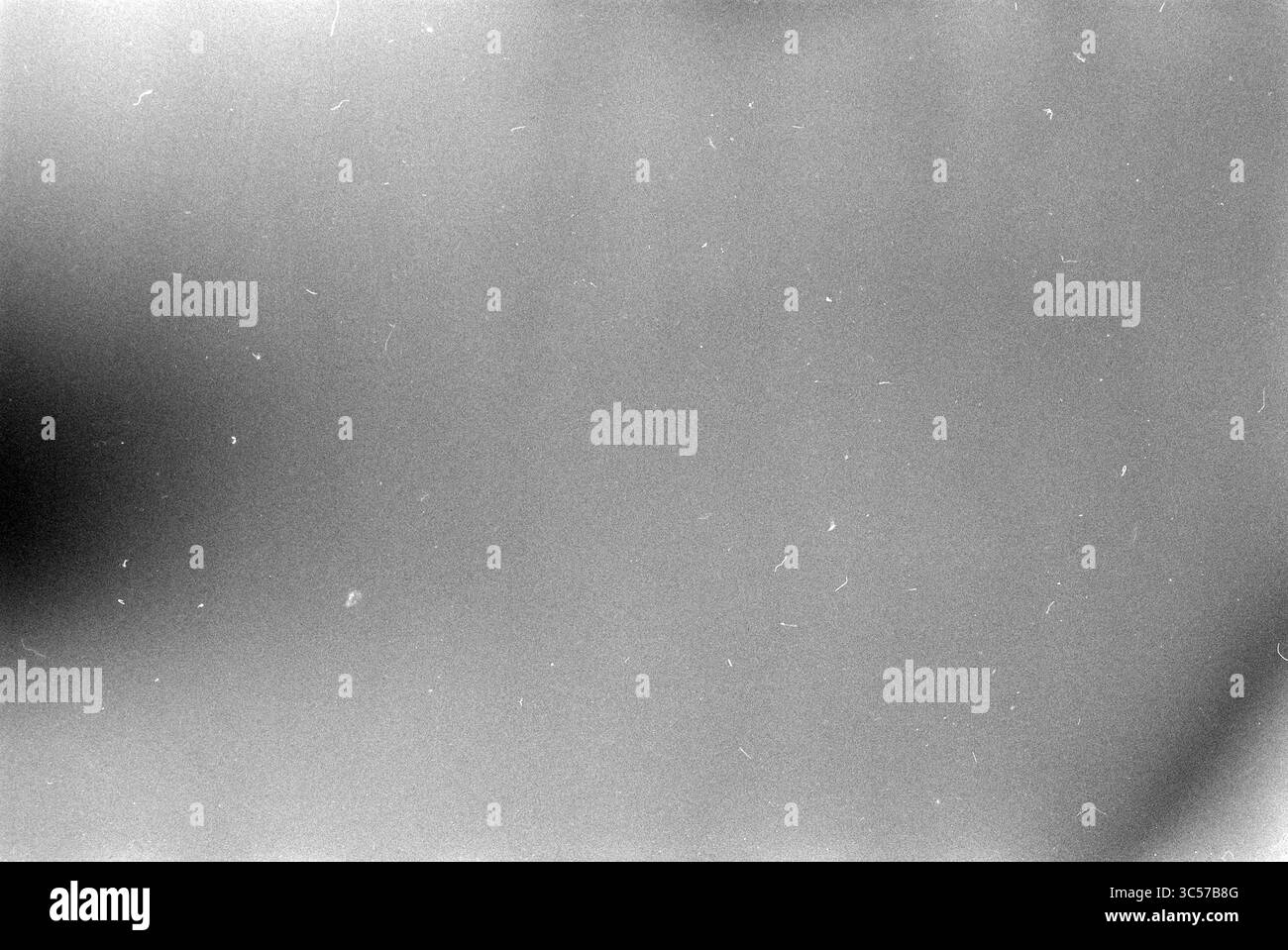 X Whizgle News, Dutch Desk, Niederlande, 1950-2000 Eine weiche, verschwommene Oberfläche mit dezenten Texturen und minimalistischer Haptik. Staubpartikel sind sichtbar, was eine ätherische Qualität verleiht. Stockfoto