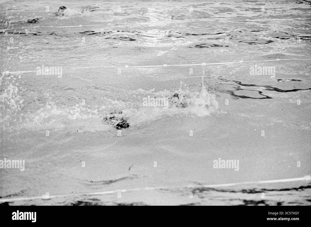 Schwimmwettbewerbe, 00-00-1964 Whizgle News, Dutch Desk, Niederlande, 1950-2000 plätschernde Wasserspritzer, während Schwimmer durch einen Pool navigieren und dynamische Muster und Reflexionen auf der Oberfläche erzeugen. Stockfoto