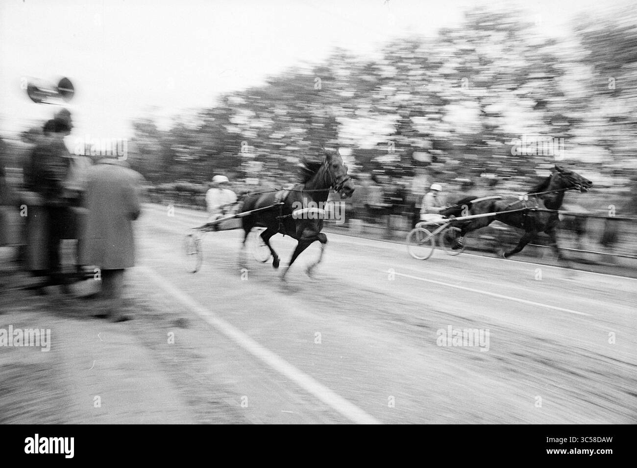 Harness Racing mit Horses Whizgle News, Dutch Desk, Niederlande, 1950-2000 Pferde treten heftig in einem Rennen an, während die Zuschauer von der Seitenlinie aus zusehen und die Spannung und Geschwindigkeit des Augenblicks festhalten. Stockfoto