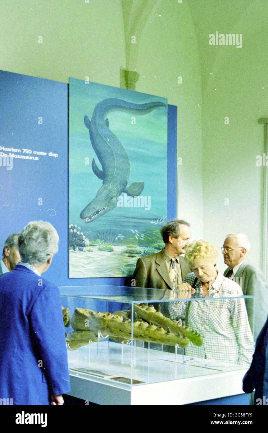 Ausstellung R.G.D. Refektorium, Haarlem, Grote Markt, Niederlande, 27-09-1995 Whizgle News, Dutch Desk, Niederlande, 1950-2000 Besucher erkunden eine Ausstellung mit einem detaillierten Wandbild eines prähistorischen Meeresreptils sowie einer Vitrine mit fossilen Überresten und Exemplaren, die bei den Besuchern Neugier und Gespräche wecken. Stockfoto