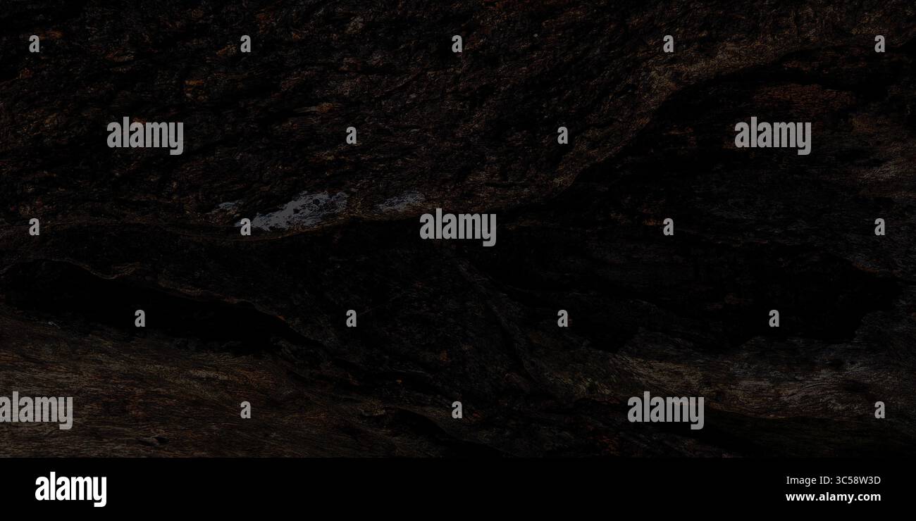 Dunkle Holzstruktur mit Details der alten Rinde, geeignet für Hintergründe, Illustrationen oder natürliche und Vintage-Designs. Stockfoto
