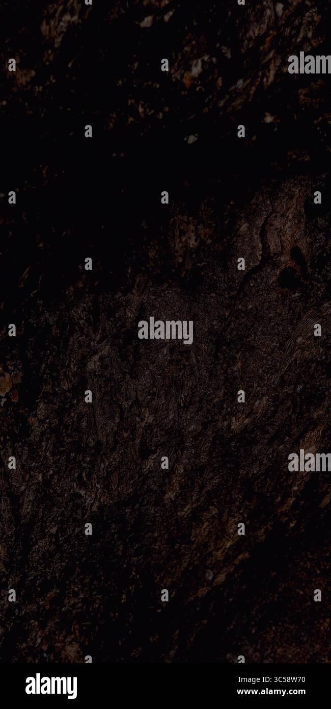 Dunkle Holzstruktur mit Details der alten Rinde, geeignet für Hintergründe, Illustrationen oder natürliche und Vintage-Designs. Stockfoto