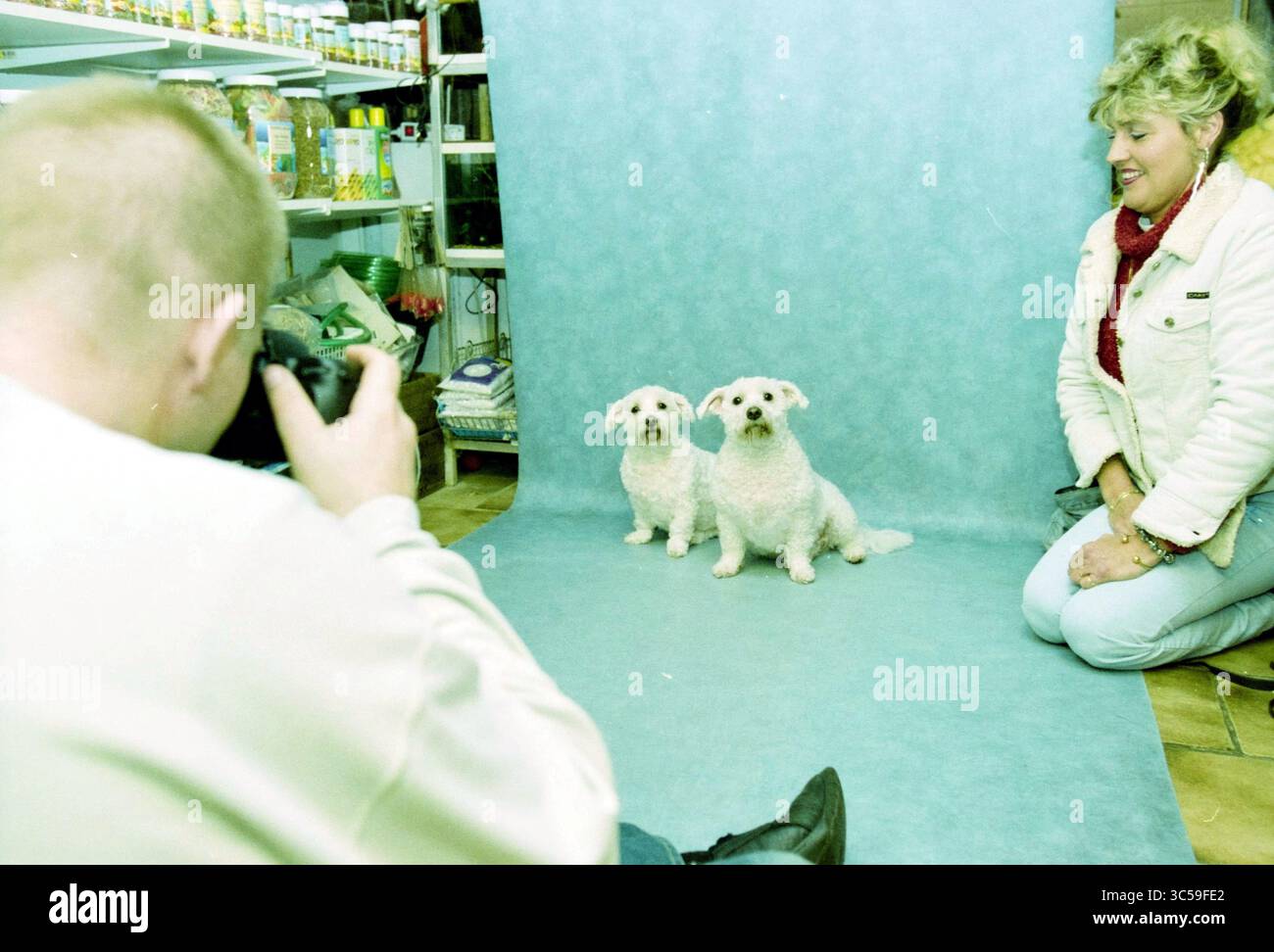 Tierfotograf Santpoort N, Santpoort, 18-11-2003 Whizgle News, Dutch Desk, Niederlande, 1950-2000 Ein Mensch fängt einen Moment ein, während zwei flauschige Hunde vor blauem Hintergrund zusammen sitzen, während eine Frau in der Nähe lächelt und eine fröhliche und verspielte Szene schafft. Stockfoto