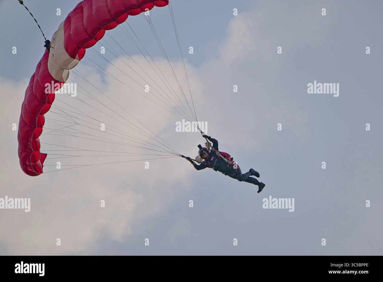 Die Red Lions Stockfoto