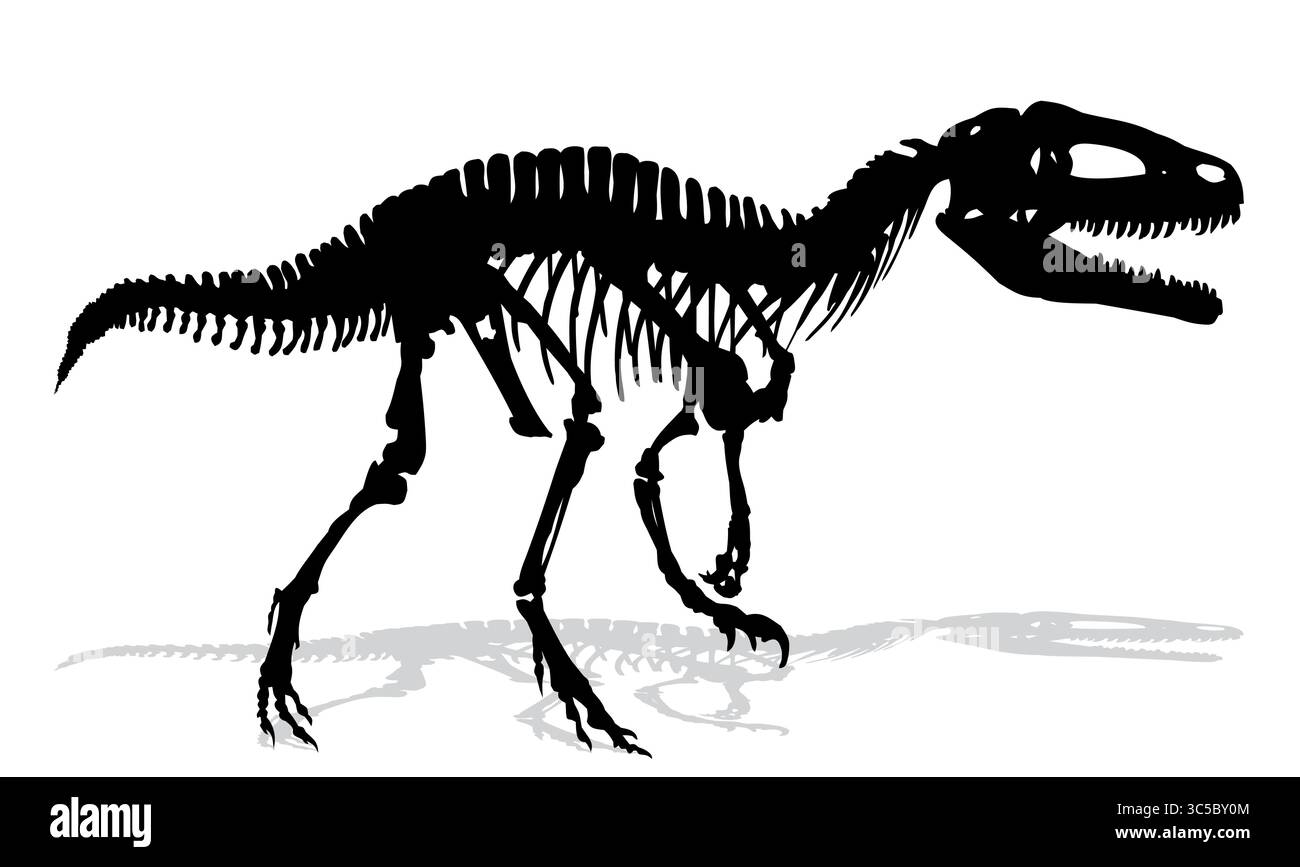 Skelett eines alten großen Dinosauriers. Stock Vektor