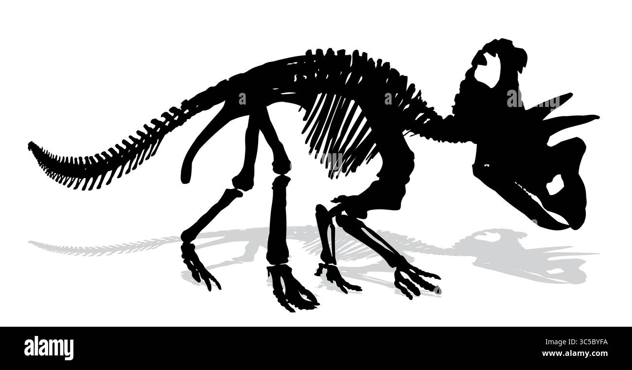 Skelett eines alten großen Dinosauriers. Stock Vektor