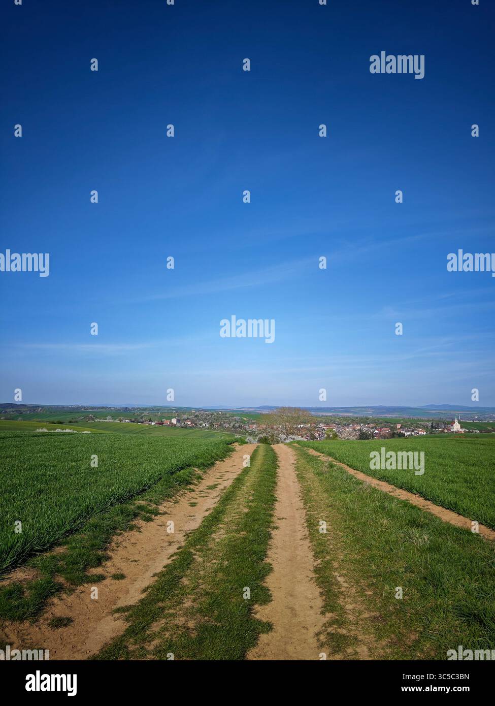 Feldweg führt durch grüne Felder in Richtung eines kleinen Dorfes unter einem klaren blauen Himmel. Stockfoto
