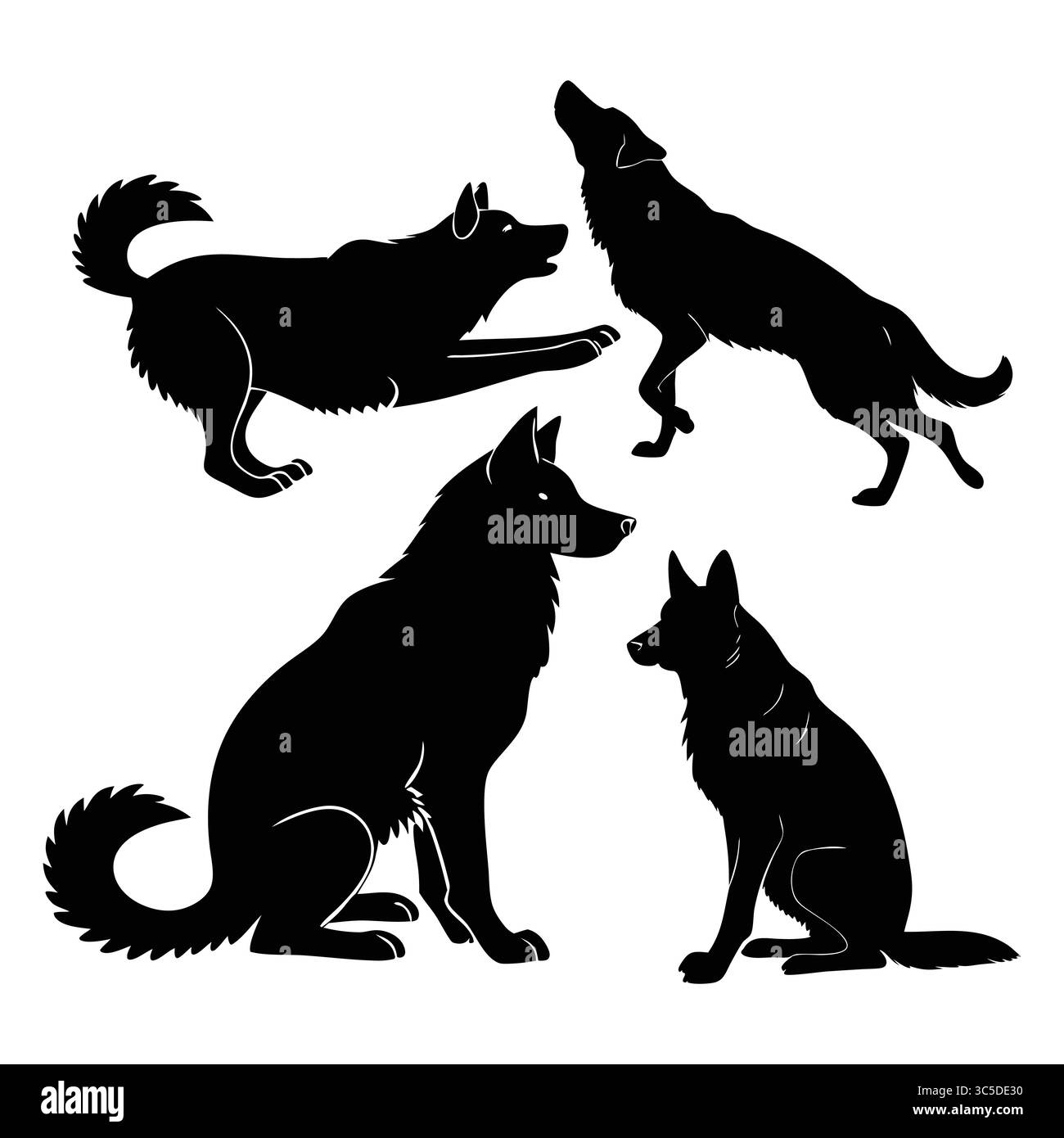Silhouetten von Alaska-Schäferhunden in verschiedenen Posen, die Hundeverhalten und -Bewegungen darstellen Stock Vektor