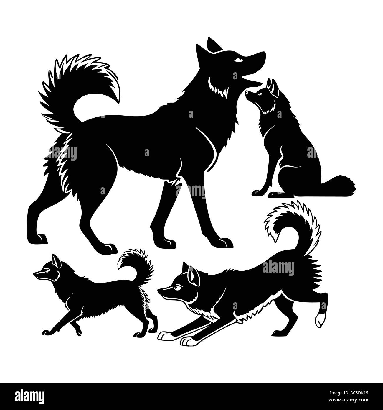 Set mit stilisierten schwarzen Silhouetten von Alaska Klee Kai Hunden in verschiedenen Posen und Aktionen Stock Vektor