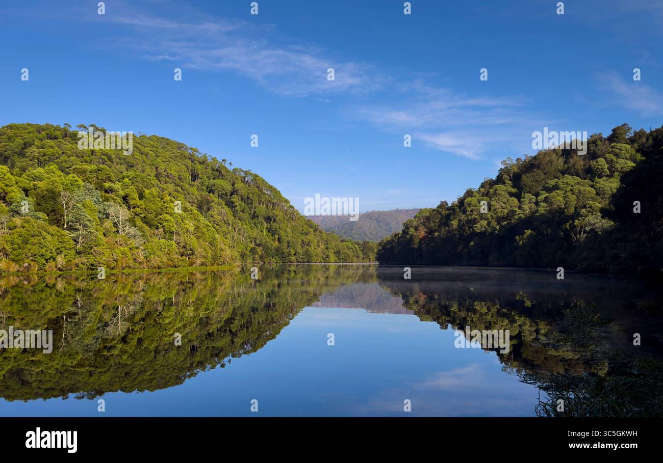 Der Pieman River und der gemäßigte Regenwald der Tarkine Wildnis bei Corinna in Tasmanien, Australien. - Smartphone-aufgenommenes Stockfoto