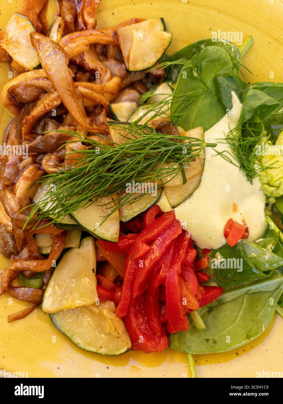 Teller mit frischem Gemüse und einer cremigen Sauce, die eine gesunde und bunte Mahlzeit präsentiert Stockfoto