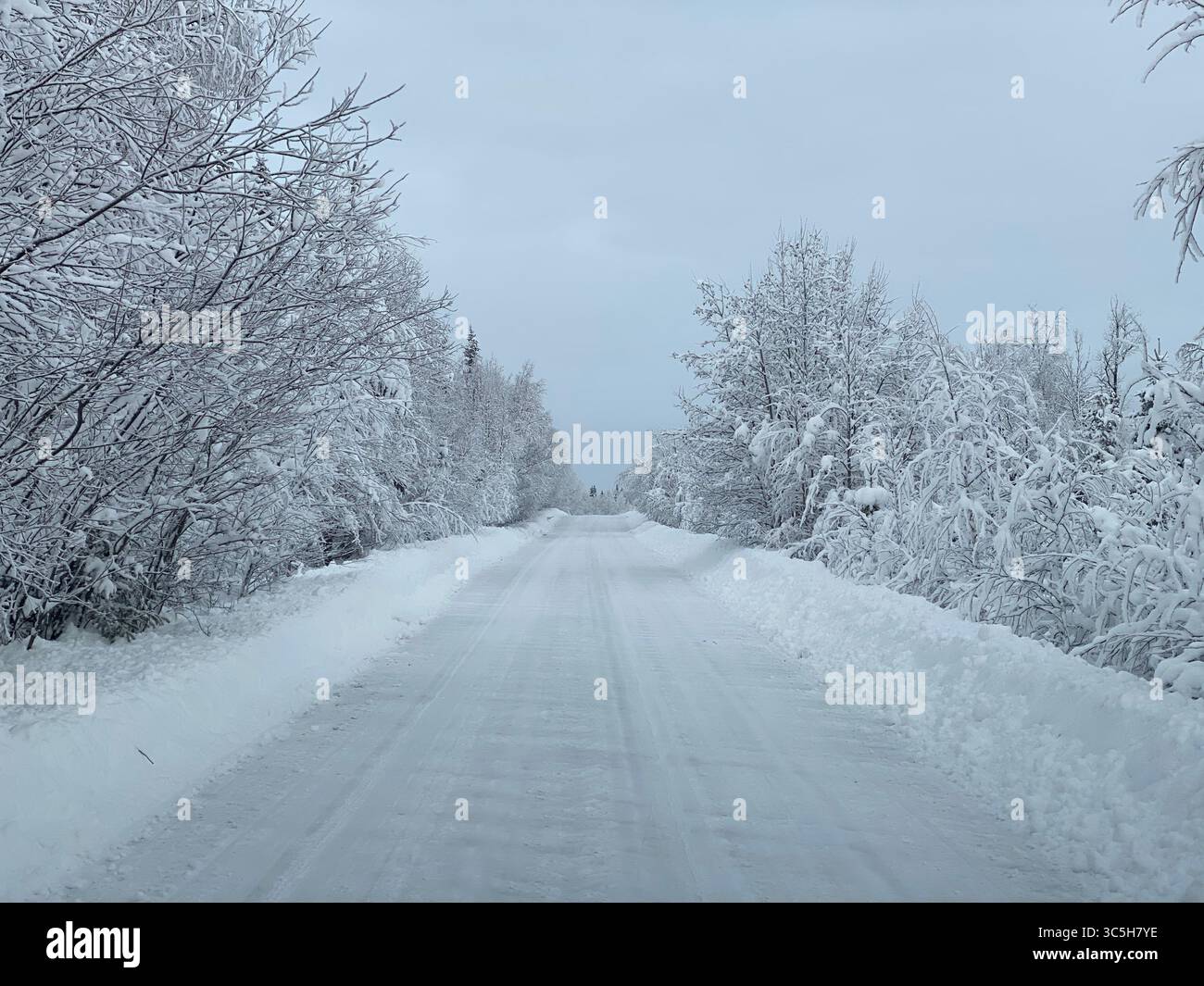 Eine ruhige Winterszene mit einer schneebedeckten Straße, die durch einen frostigen Wald führt, unter einem bewölkten Himmel in Jämtland, Schweden. Stockfoto