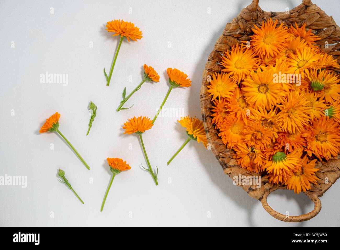 Lebhafte orangene Ringelblumen mit grünen Stielen in einem gewebten Korb, verstreut auf einem weißen Tisch. Perfekt für Kräuter-Wellness, Hautpflege und Stockfoto