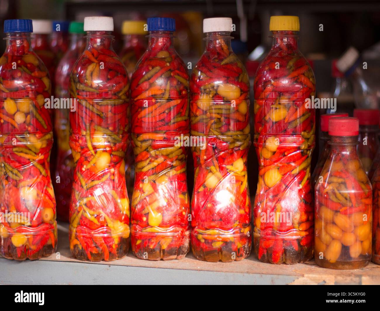 Flaschen mit lebhaften eingelegten Chilischoten. Stockfoto