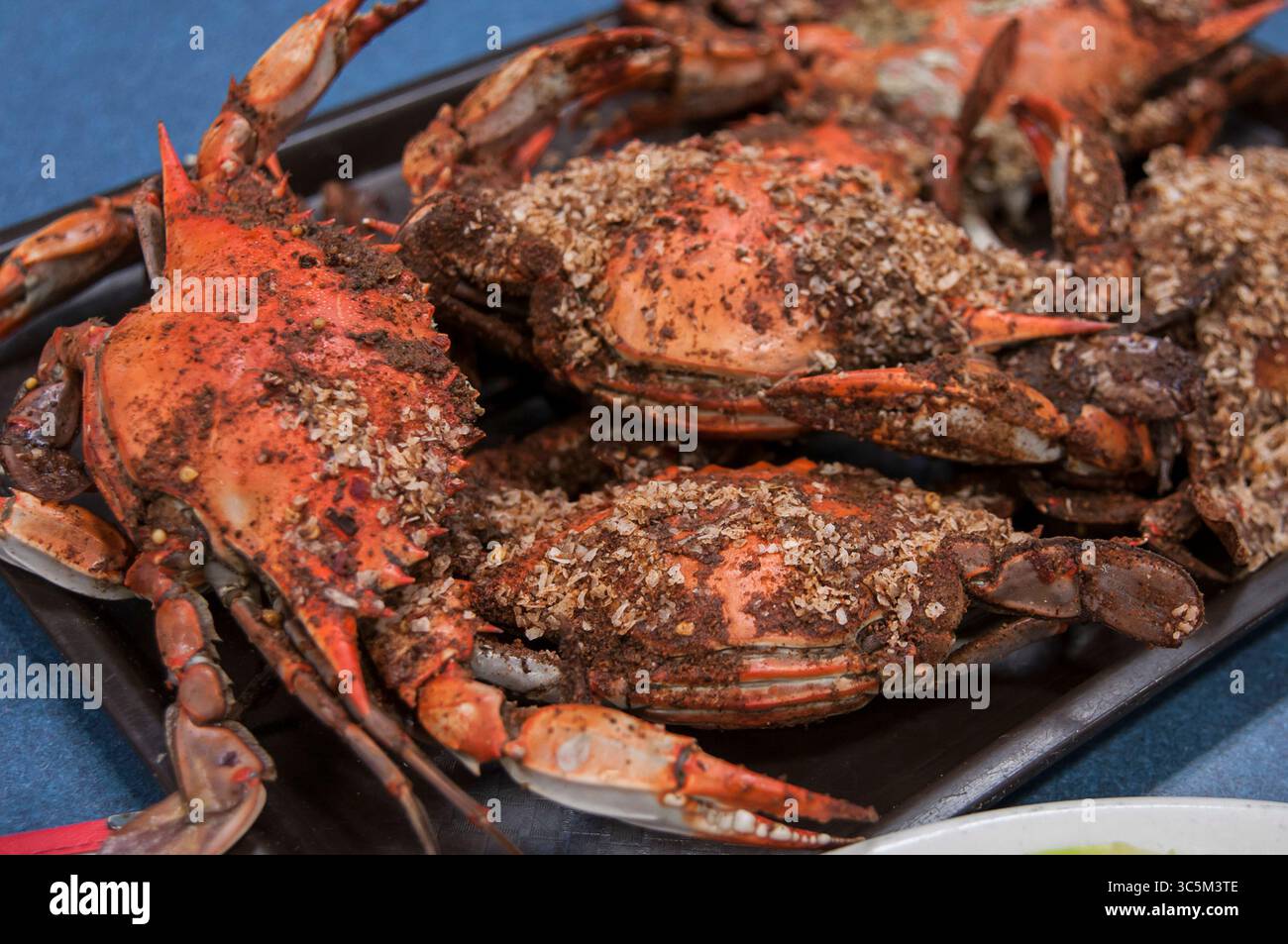 Gedämpfte Gewürzkrabben auf einem Tablett, Baltimore, MD Stockfoto