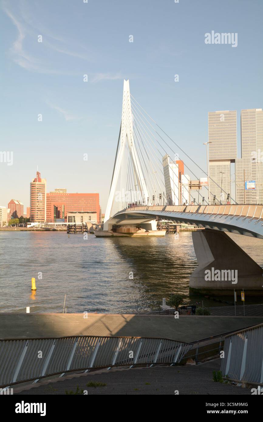 Die Erasmusbrug-Brücke überquert den Nieuwe Maas mit Kop Van Zuid im Hintergrund in Rotterdam, Niederlande Stockfoto