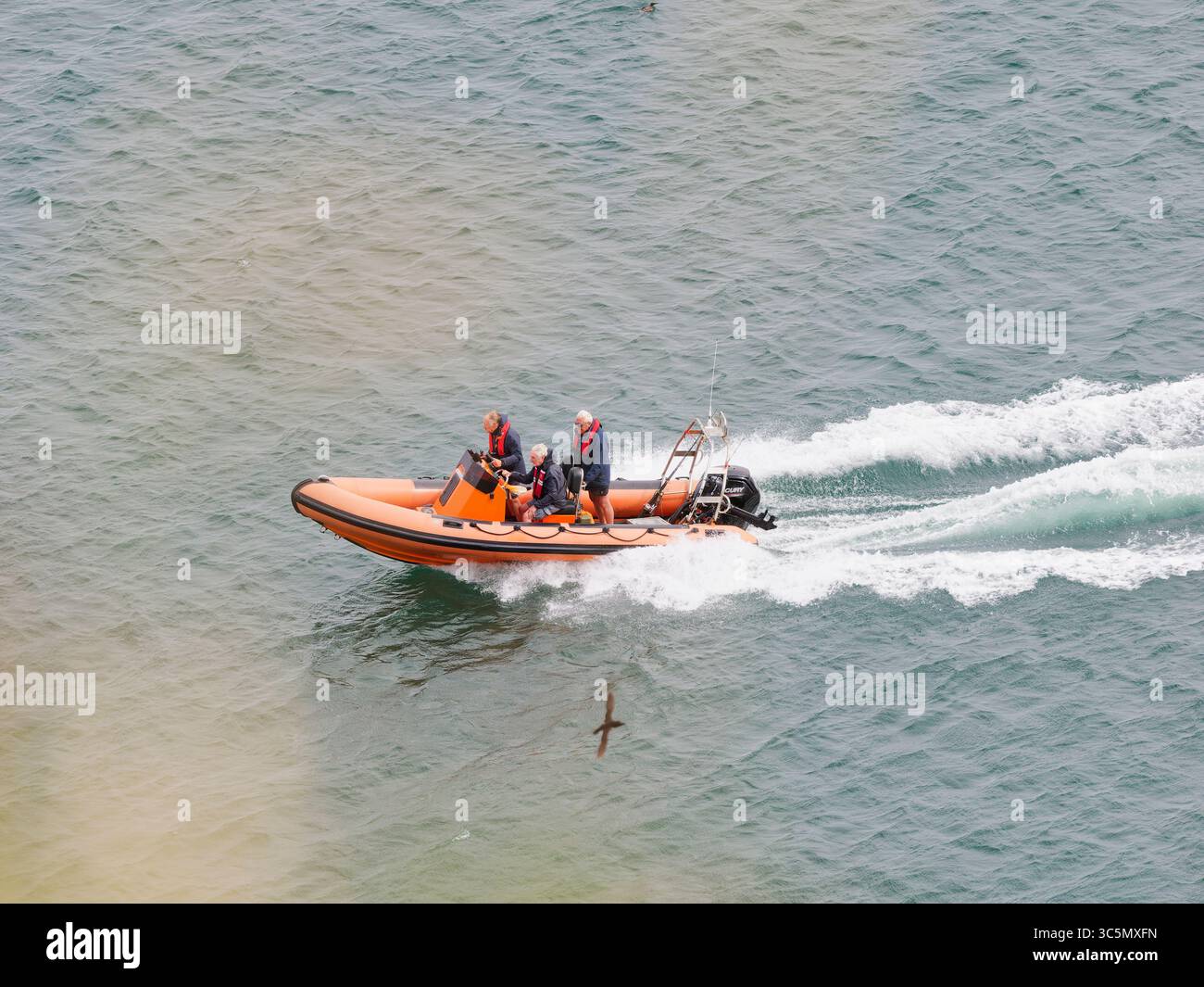 Sicherheitsboot in der Nähe der Klippen von Bempton Stockfoto