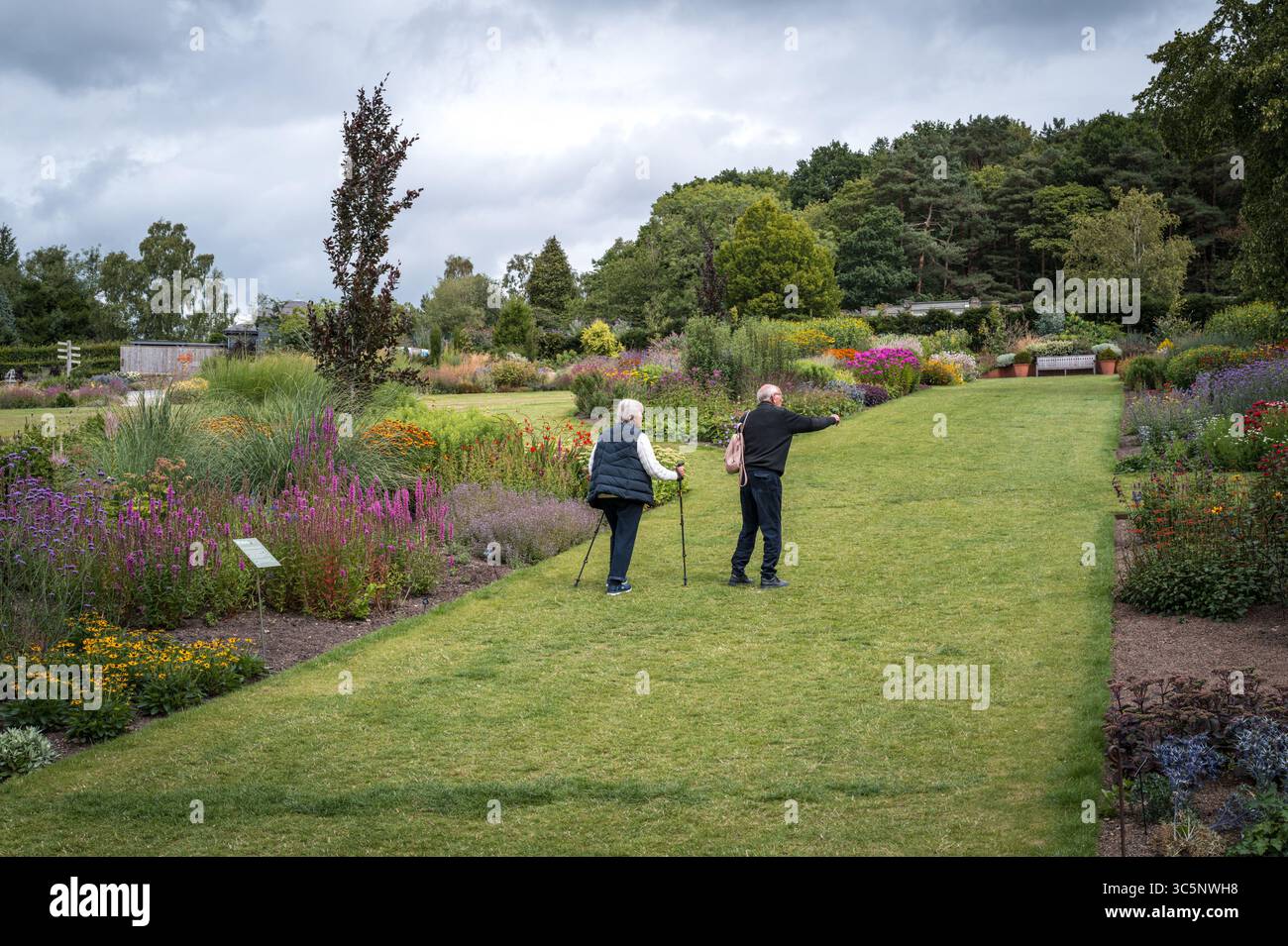 RHS Harlow Carr, North Yorkshire Stockfoto