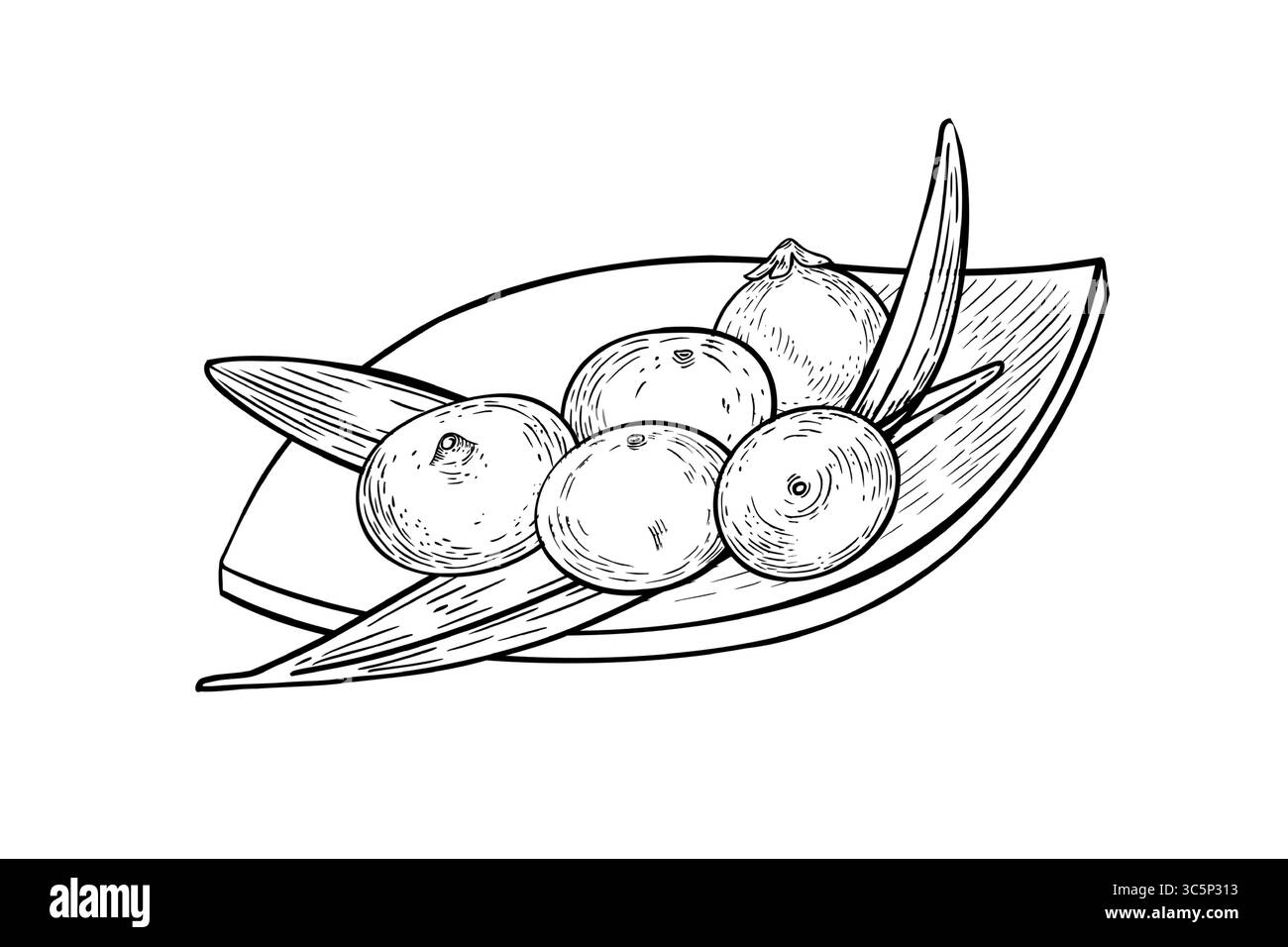 Acai Beeren auf Holzplatte schwarz weiß Vektor Illustration isoliert auf weiß. Frische kleine tropische Beeren, Palmblätter auf Teller umranden von Hand gezeichnet Stock Vektor