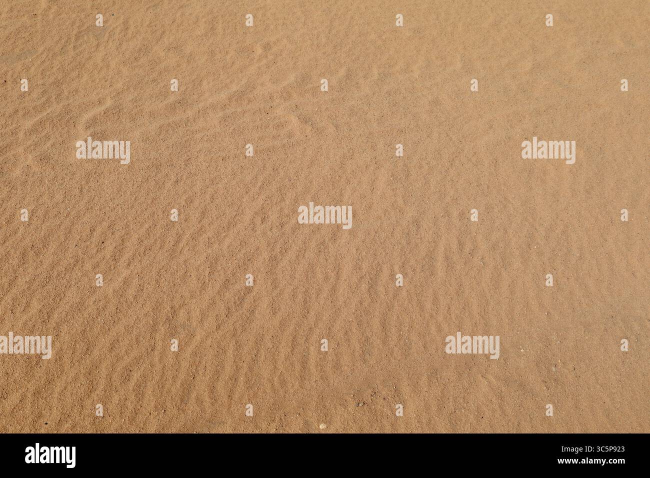 Sandtextur - Hintergrund von Wüstensanddünen. Schöne Strukturen von sandigen Dünen, Sand mit Windwelle in der Wüste - Nahaufnahme Stockfoto
