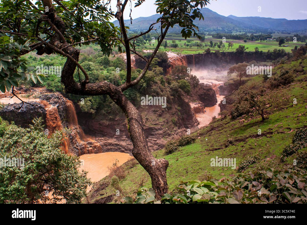 17. Juli 2012, Äthiopien: Tis Issat Oder Tissisat. Die Blue Nil Falls sind ein Wasserfall am Blue Nil in Äthiopien. Es ist auf Amharisch als Tis Abay bekannt, was „großer Rauch“ bedeutet. Er liegt am oberen Flusslauf, etwa 30 km flussabwärts von Bahir dar und dem Tana-See. (Kreditbild: © Sergi Reboredo/ZUMA Wire) Stockfoto