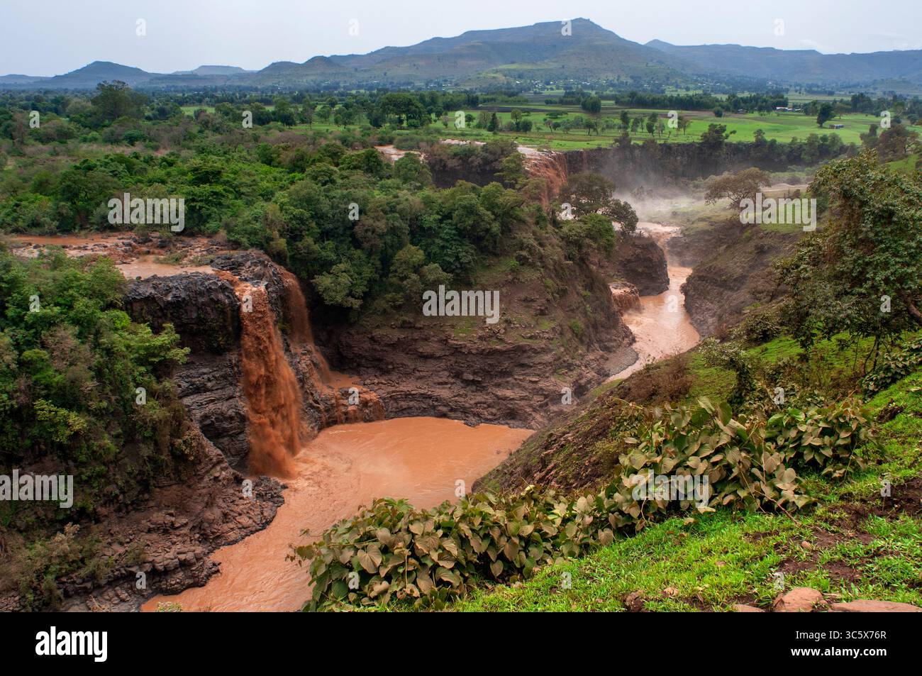 17. Juli 2012, Äthiopien: Tis Issat Oder Tissisat. Die Blue Nil Falls sind ein Wasserfall am Blue Nil in Äthiopien. Es ist auf Amharisch als Tis Abay bekannt, was „großer Rauch“ bedeutet. Er liegt am oberen Flusslauf, etwa 30 km flussabwärts von Bahir dar und dem Tana-See. (Kreditbild: © Sergi Reboredo/ZUMA Wire) Stockfoto