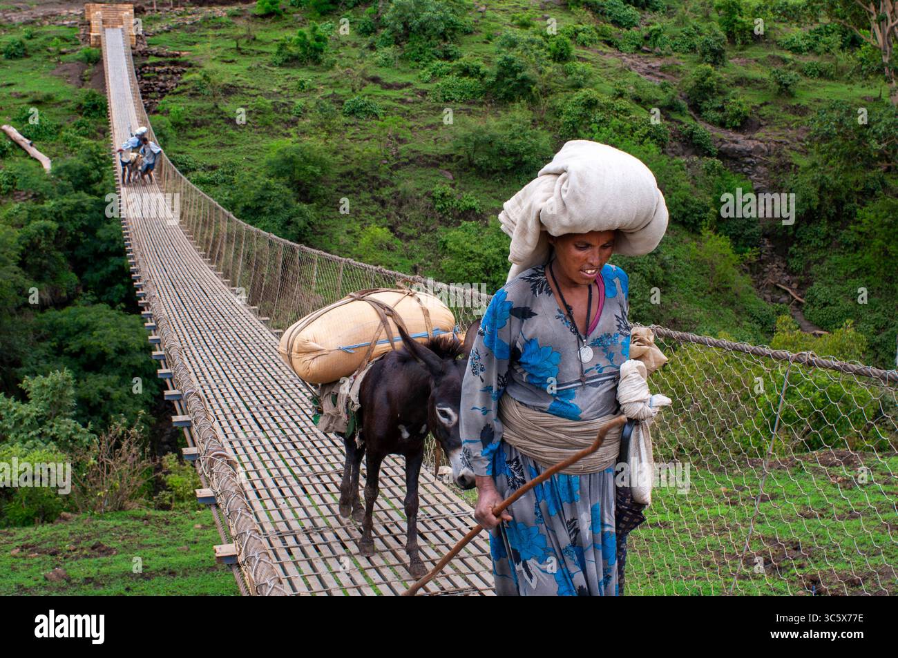 17. Juli 2012, Äthiopien: Tis Issat Oder Tissisat. Die Blue Nil Falls sind ein Wasserfall am Blue Nil in Äthiopien. Es ist auf Amharisch als Tis Abay bekannt, was „großer Rauch“ bedeutet. Er liegt am oberen Flusslauf, etwa 30 km flussabwärts von Bahir dar und dem Tana-See. (Kreditbild: © Sergi Reboredo/ZUMA Wire) Stockfoto