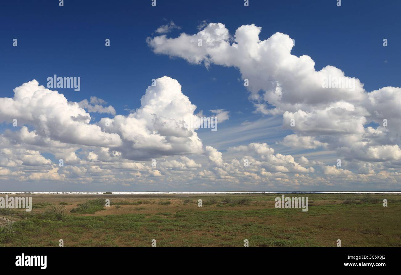 Das Sich Nähernde Deadhorse Stockfoto