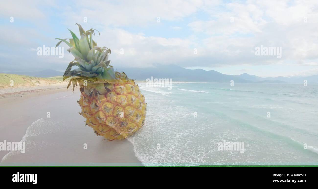 Riesige Ananas am Sandstrand, mit grasbewachsenen Dünen, Meereswellen und fernen Bergen Stockfoto