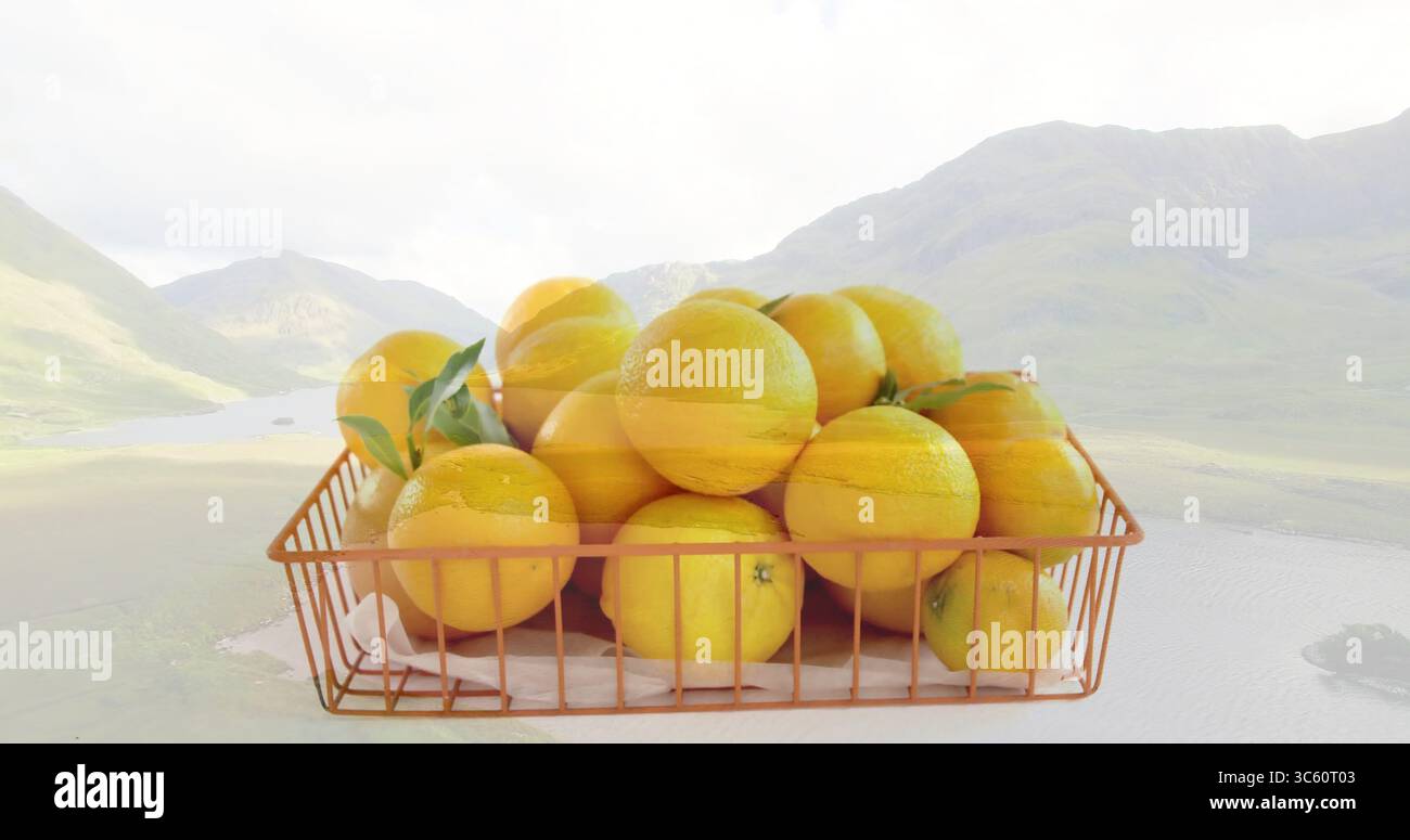 Korb aus Kupferdraht mit weißer Verkleidung, die gelbe Orangen auf einem Hochglanztisch hält, Seetal Stockfoto