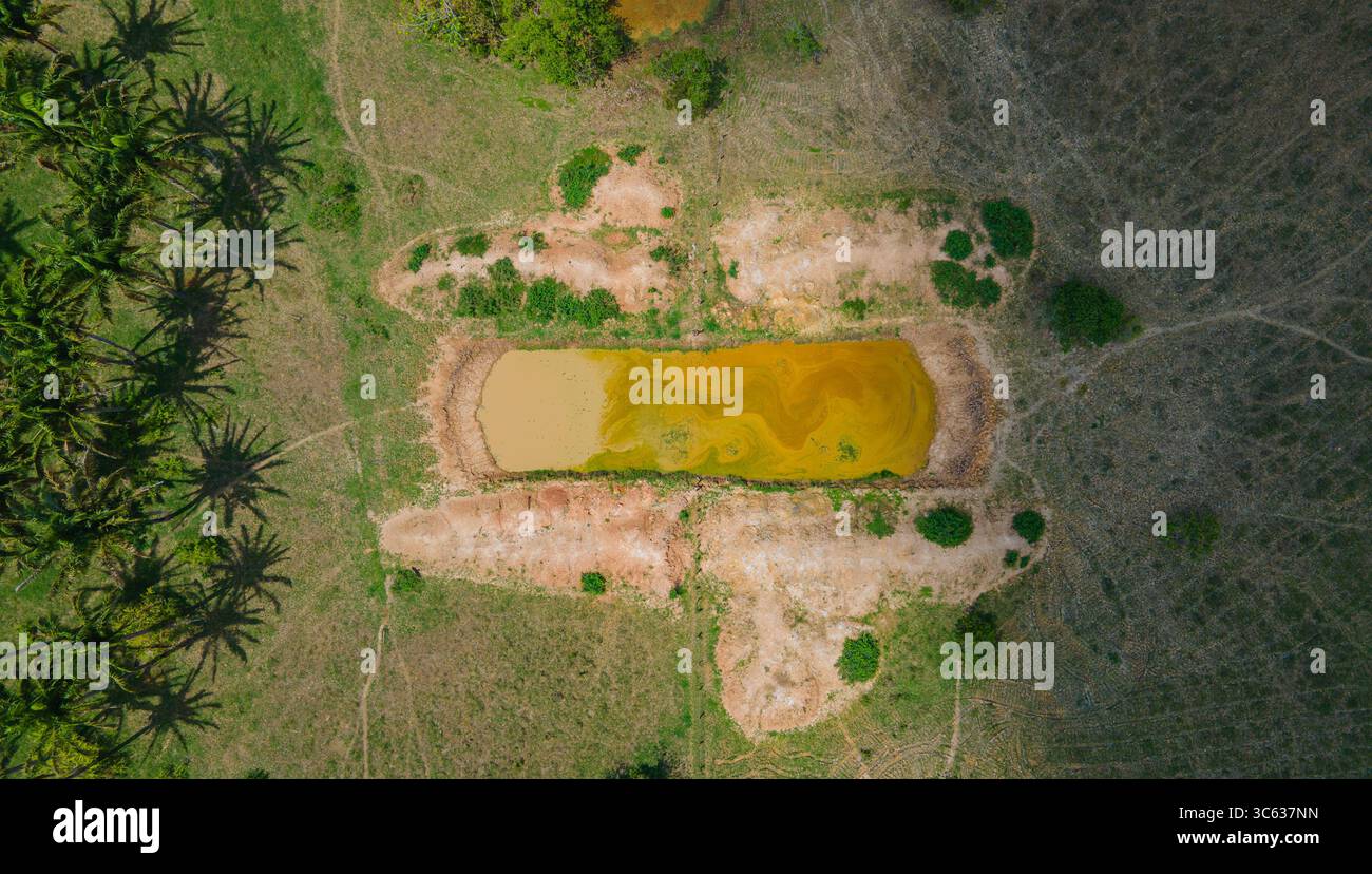 Wunderschöne Luftlandschaft eines kleinen Teichs umgeben von grüner Vegetation in Casanare, Kolumbien. Stockfoto