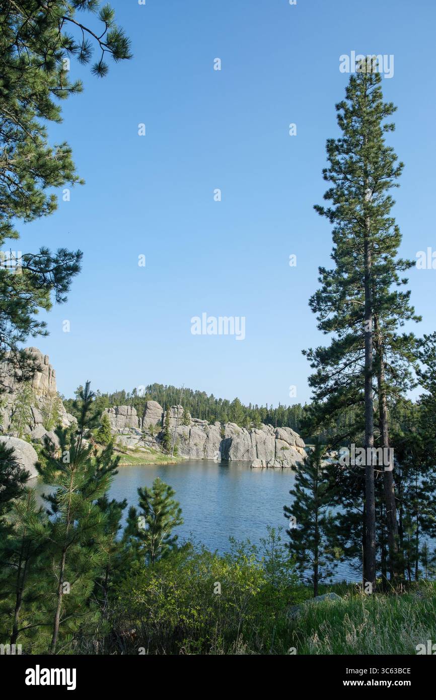 Der Rocky Sylvan Lake in den Black Hills in South Dakota glitzert an einem warmen Sommertag, umgeben von Granitblöcken, Kiefern und ruhigem blauem Wasser. Stockfoto