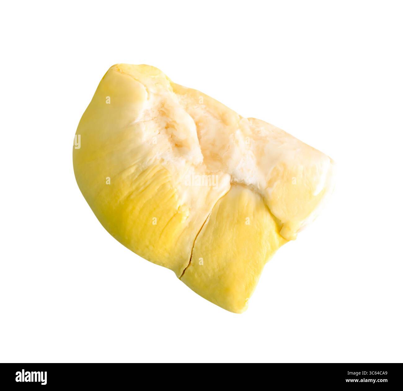 Gelbes Fruchtfleisch von Reifen Durianfrüchten im Stapel ohne Schale ist auf weißem Hintergrund mit Schnittpfad isoliert. Stockfoto