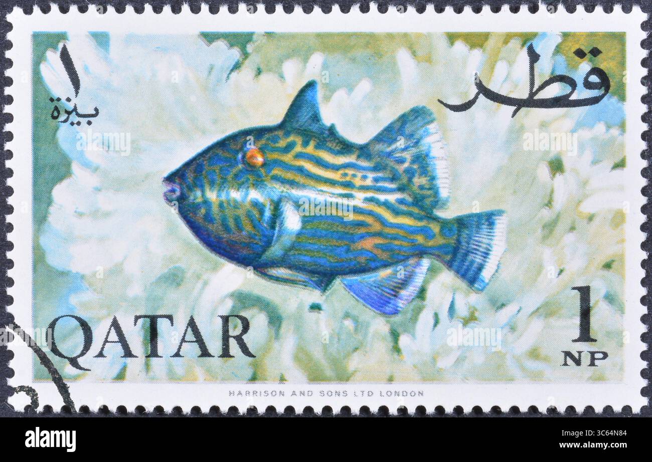 Gestempelte Briefmarke, gedruckt von Katar, auf der Gelbfleckiger Triggerfisch (Pseudobalistes fuscus), Aquarium Fish, ca. 1965 zu sehen ist. Stockfoto