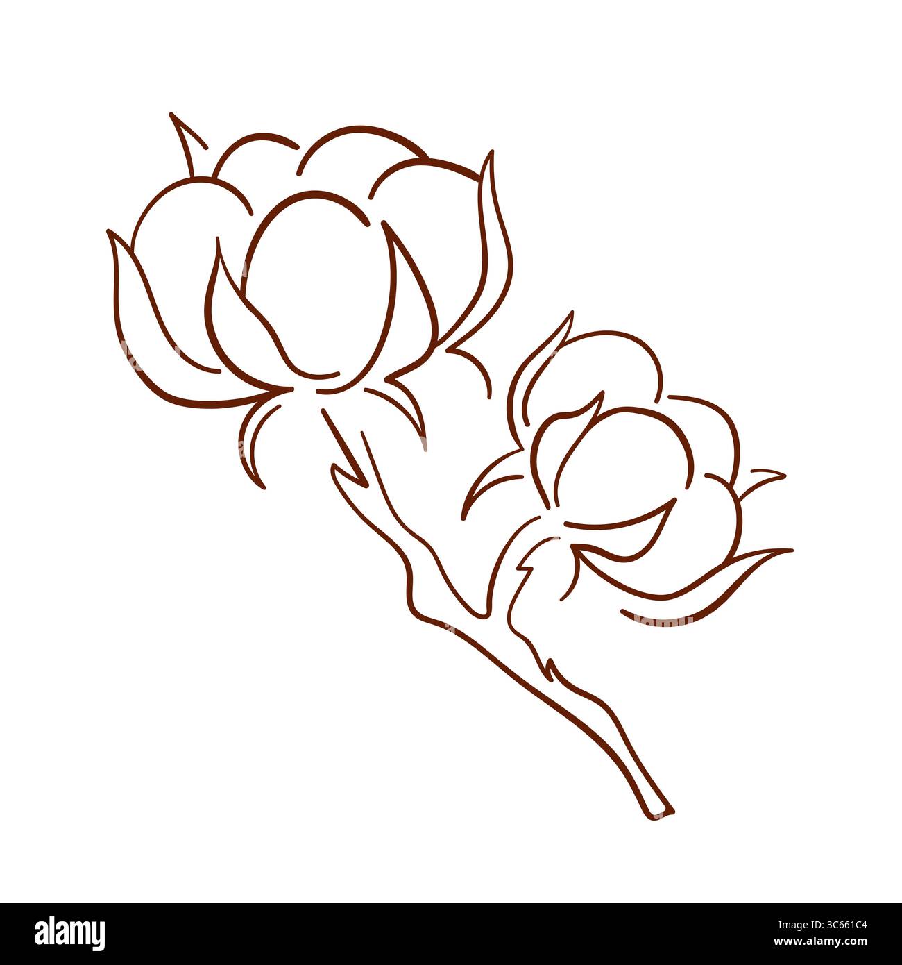 Reifer Baumwollboll mit geöffnetem Saatgut im Line-Art-Stil. Stock Vektor