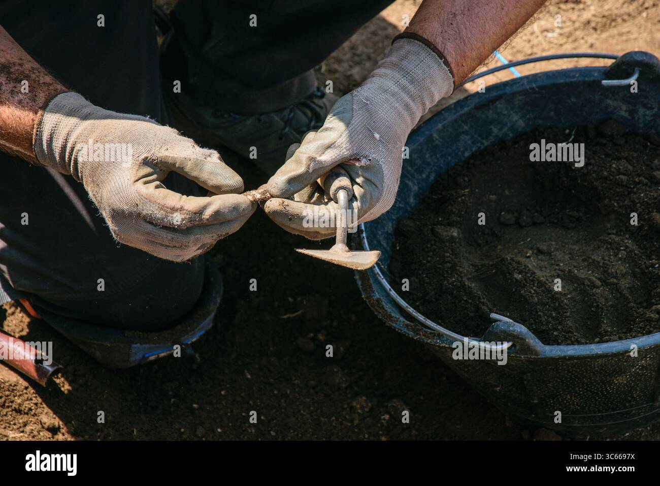 Der heikle Prozess der Reinigung eines historischen Fundstücks an einer Grabstelle. Stockfoto