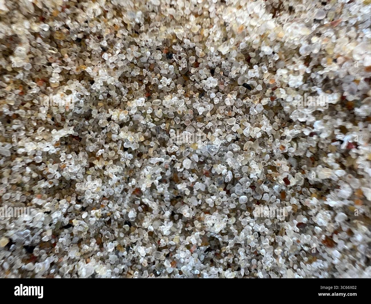 Makroaufnahme von feuchten, weißen Sandkörnern an einem Strand der Ostsee im Nationalpark Kurische Nehrung, Litauen. Ein natürlicher Texturhintergrund. - Smartphone-aufgenommenes Stockfoto