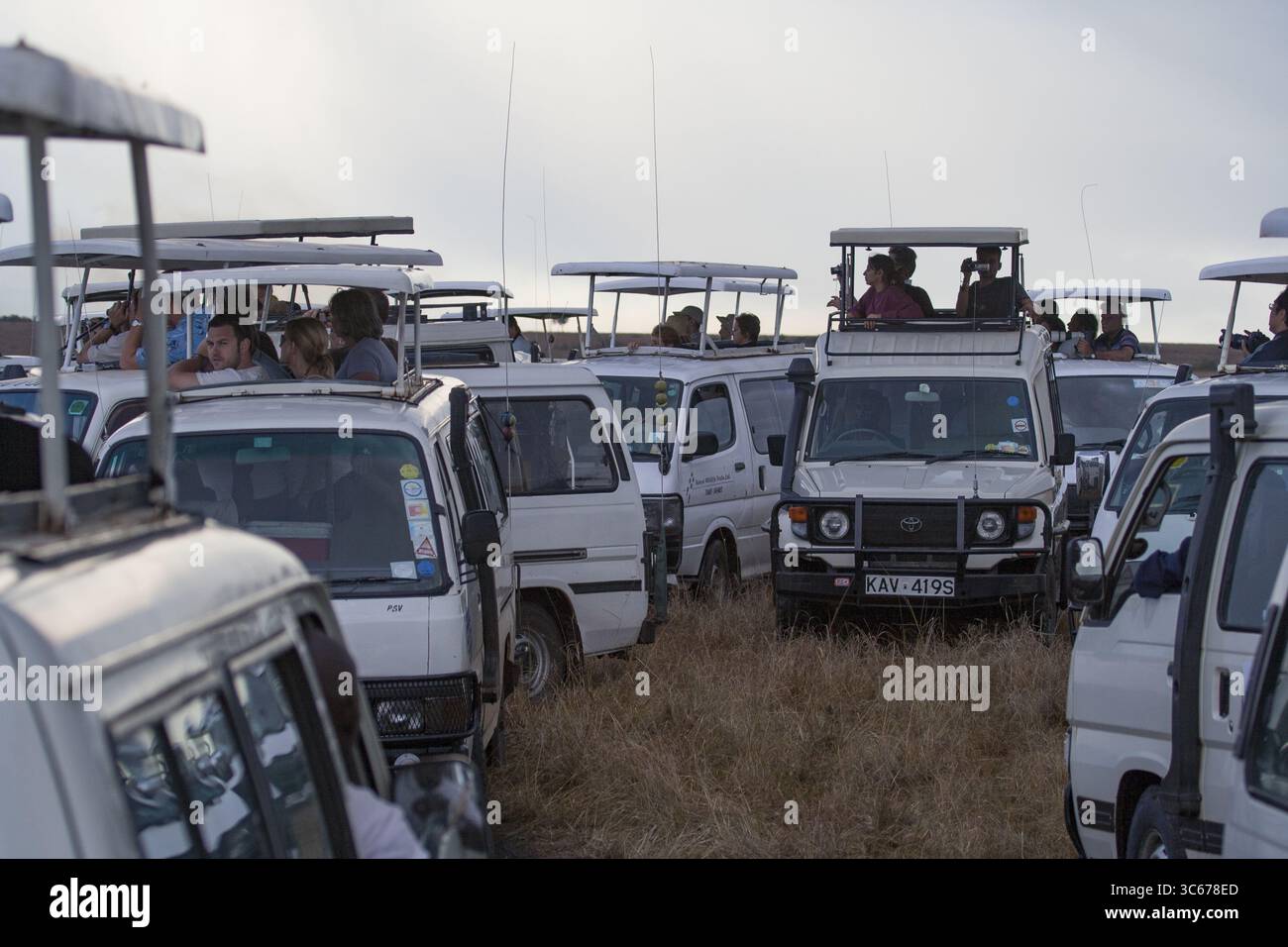 Narok, Kenia - 08. September 2015: Blick auf Safari-Vans in einem Feld, Touristen, die unter dem riesigen afrikanischen Himmel Abenteuer suchen. Stockfoto